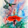 Humming Bird #2