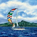 Sailing Hawaii